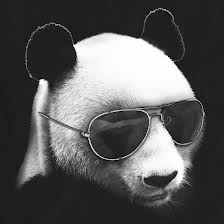 PANDA SEO